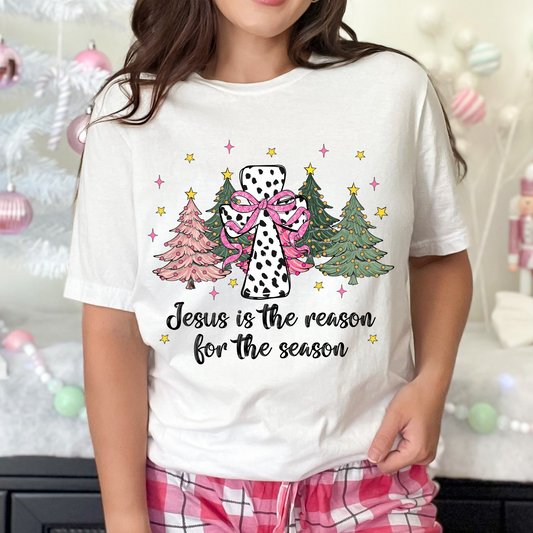 Jesus The Reason DTF Print