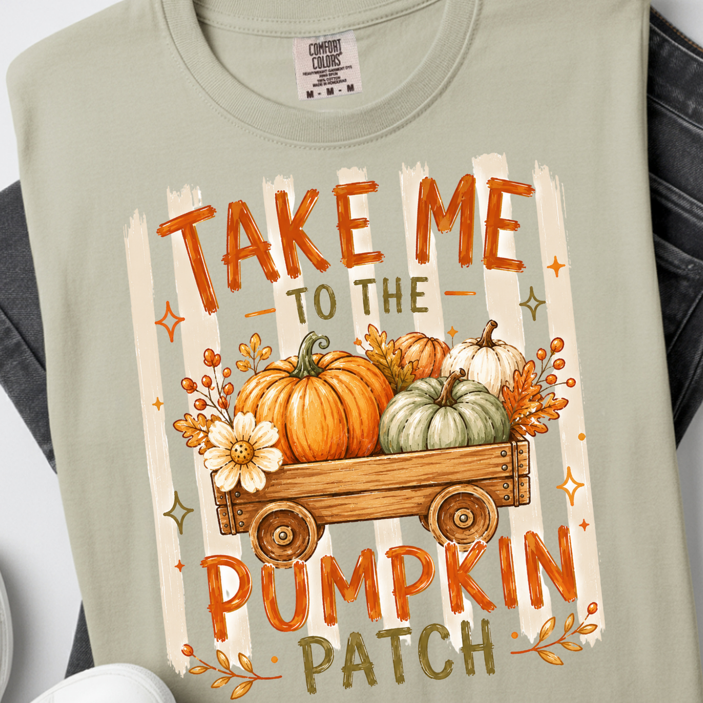 Take me to the Pumpkin Patch DTF Print
