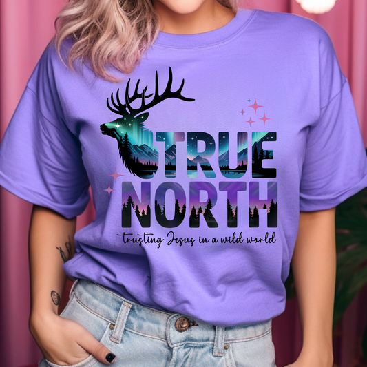 True North DTF Print