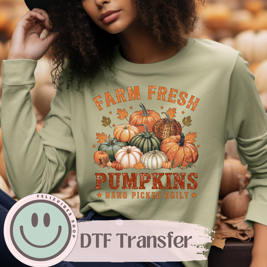 Fresh Pumpkins DTF Print